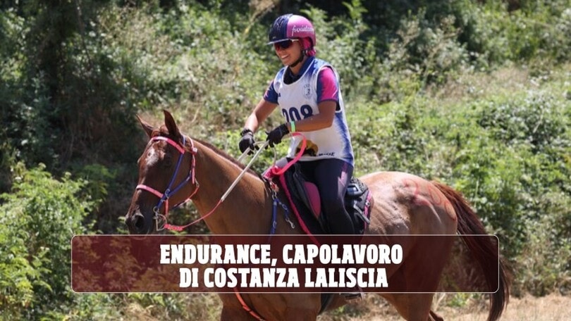 Endurance, capolavoro di Costanza Laliscia