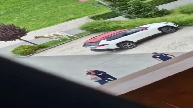 Torino, rissa tra Vagnati e Juric: insulti e urla durante il ritiro