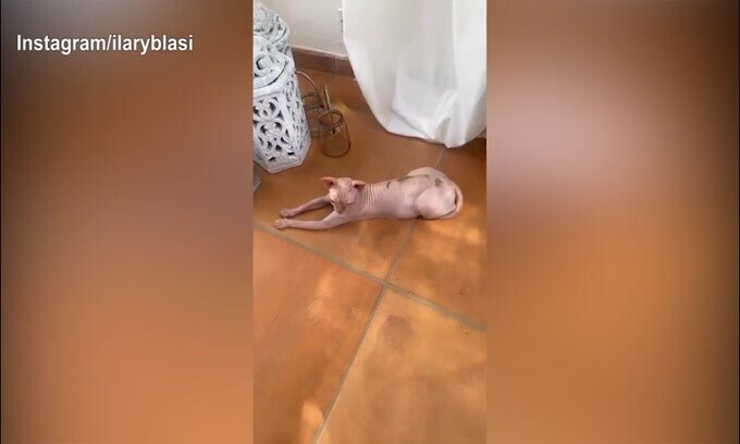 Ilary Blasi si tatua? Lo scherzo della conduttrice