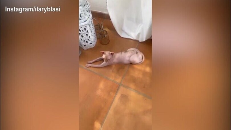 Ilary Blasi si tatua? Lo scherzo della conduttrice