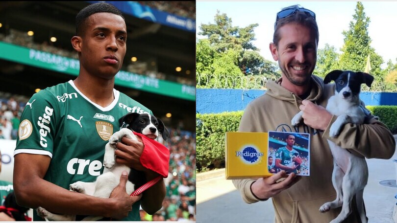 Il Palmeiras scende in campo con i cani e li fa adottare