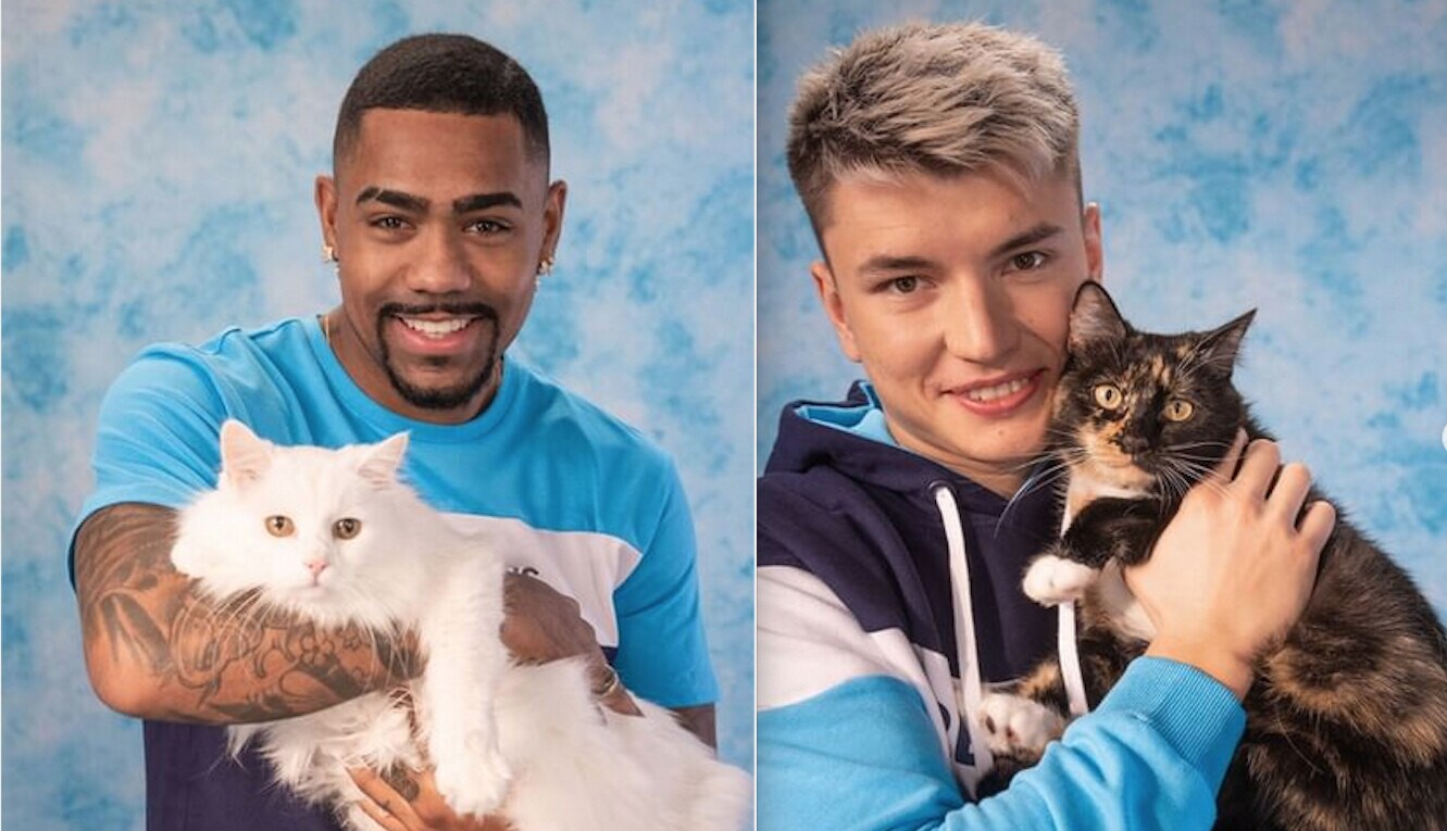 Adotta un gatto. E lo Zenit spopola