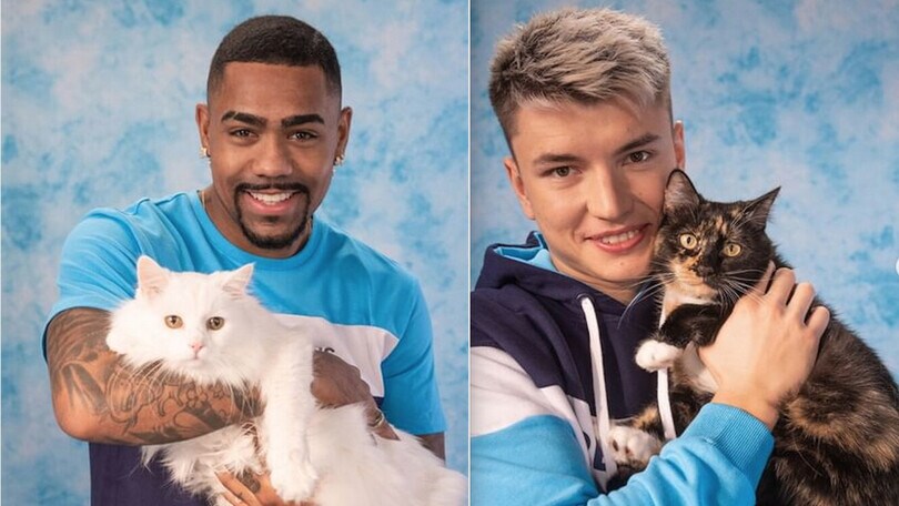 Adotta un gatto. E lo Zenit spopola
