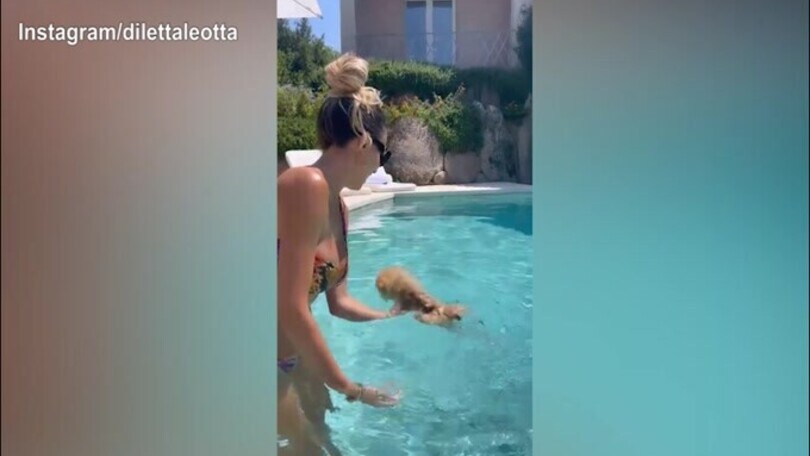 Diletta Leotta in acqua con...un cagnolino!