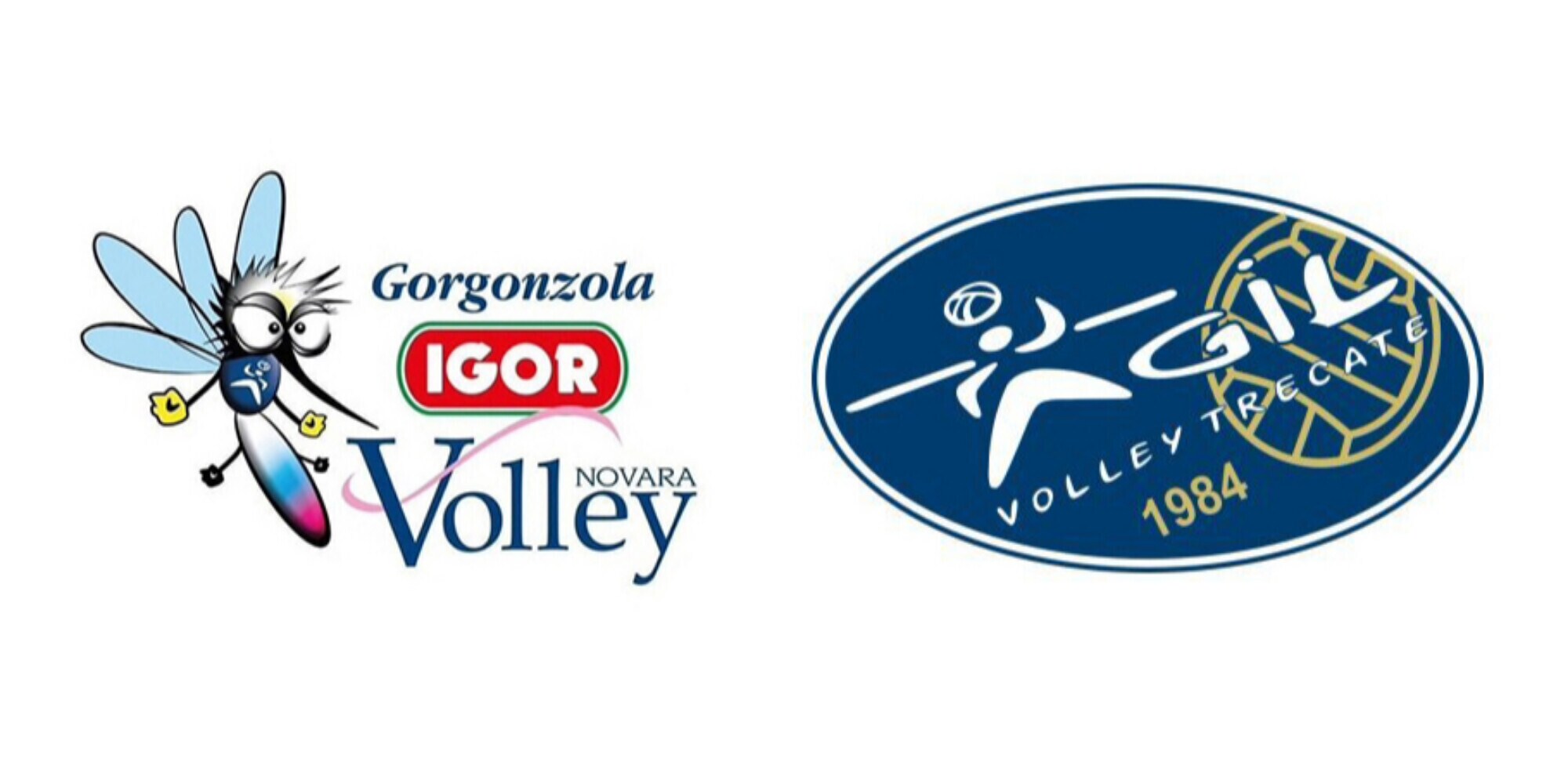 Agil Igor Volley: in arrivo tre preziosi tasselli