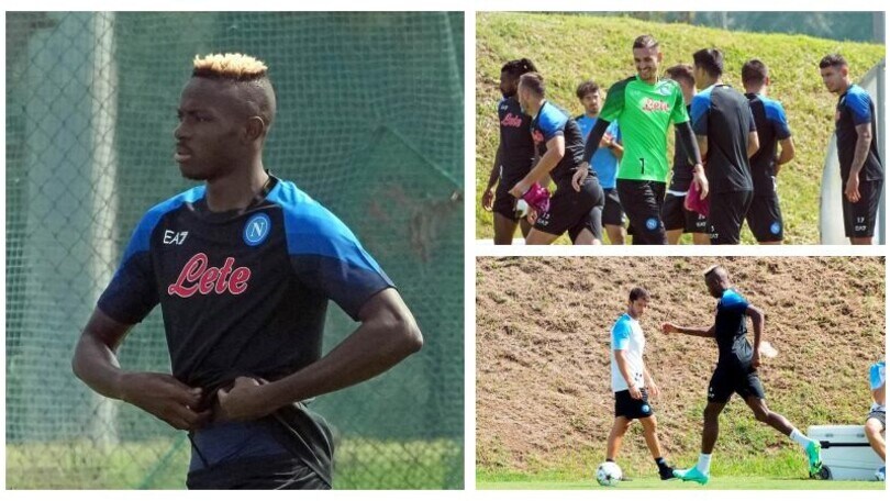 Il Napoli prepara l'esordio in Champions: Osimhen tenta il recupero