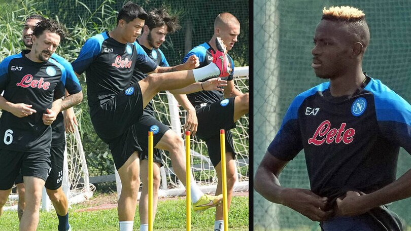 Napoli, esordio Champions: ecco la rifinitura prima del Liverpool