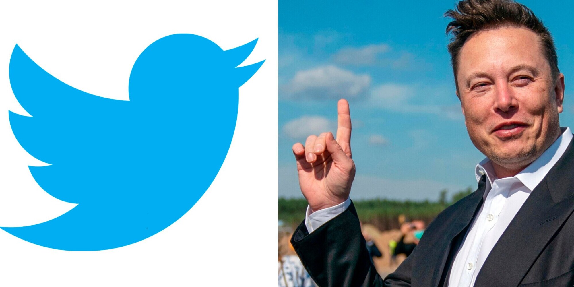 Twitter respinge le accuse di Elon Musk sul pagamento di 7 milioni alla talpa