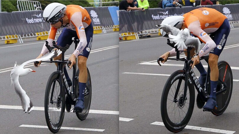 Mondiali di ciclismo: il gabbiano attacca Mollema