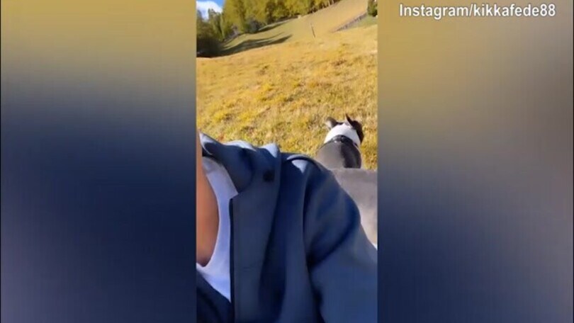 Pellegrini, giornata movimentata: allenamento e....cani impazziti!