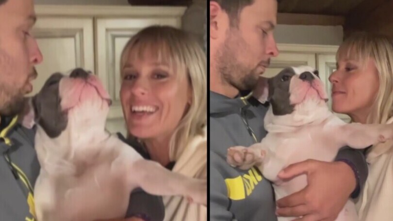 La cagnolina della Pellegrini viene sommersa di baci