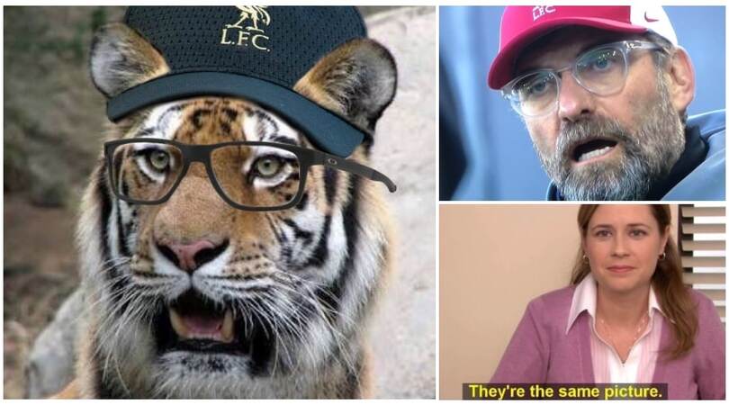 Klopp basito e la tigre, l'ironia sul tecnico del Liverpool