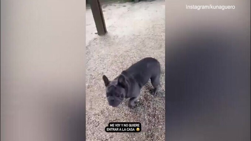 Aguero parte per il Qatar, la reazione del cagnolino è incredibile!