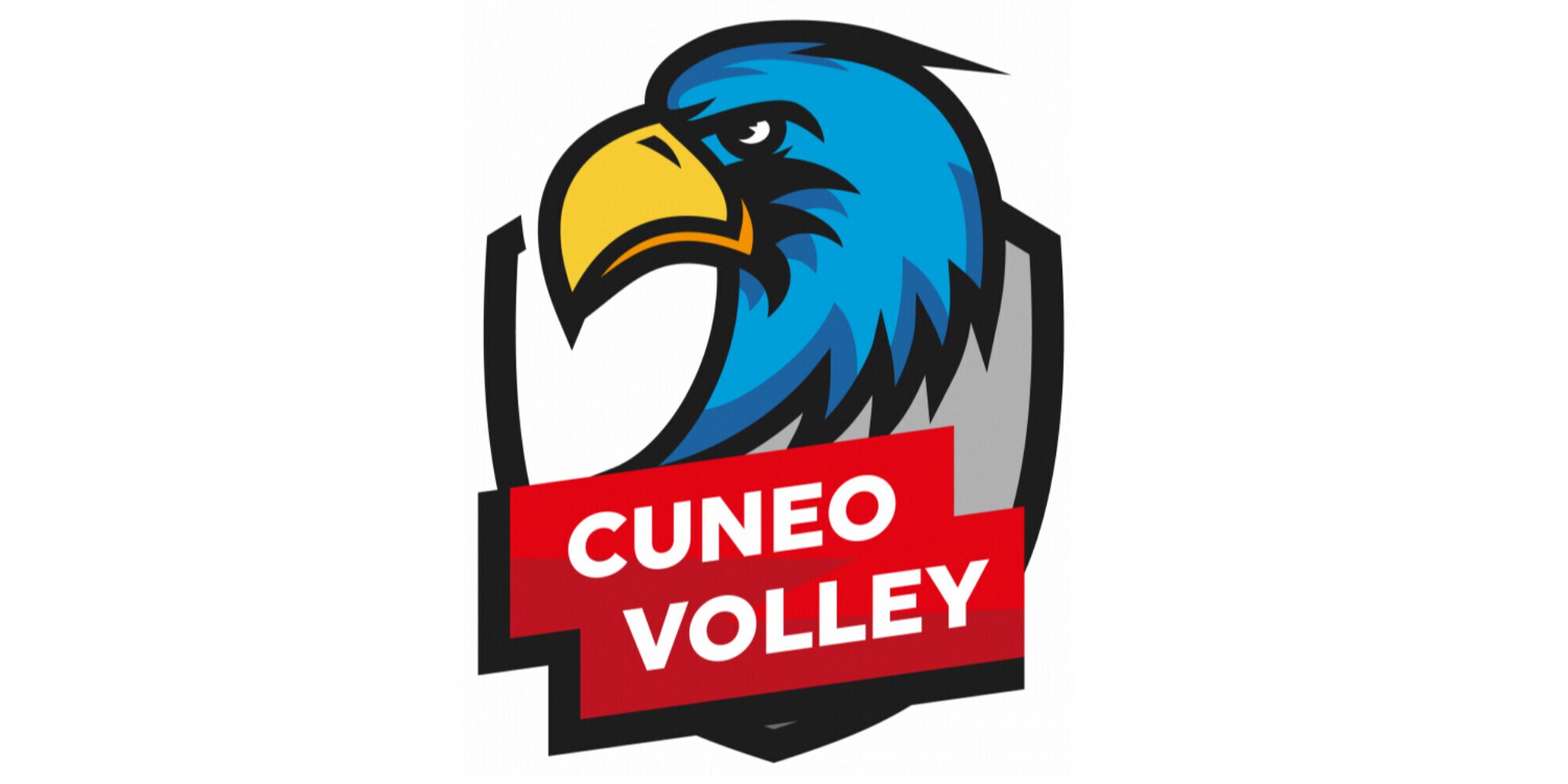 Cuneo Volley: pieno di vittorie dall’Under 15 alla Serie C