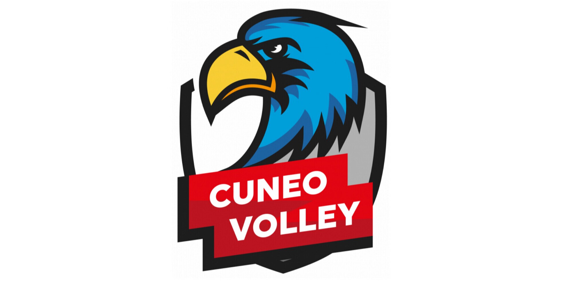 Settore giovanile Cuneo Volley: Derby interno per l’U19, Cuneo vincente in tutte le Under