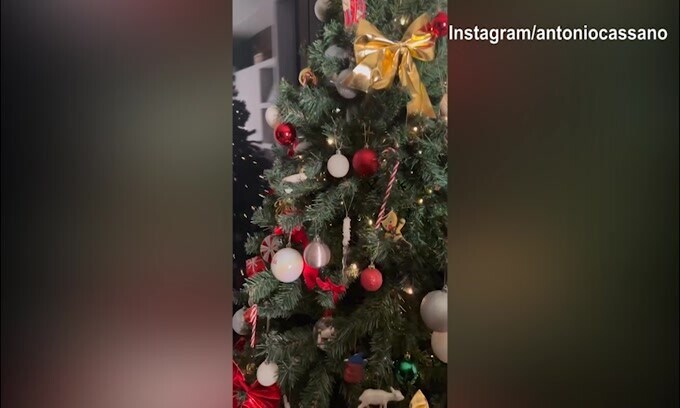 Cassano e Carolina fanno l'albero di Natale