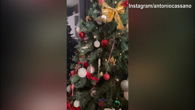 Cassano e Carolina fanno l'albero di Natale
