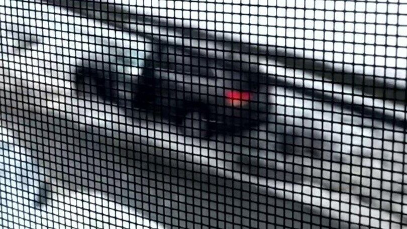 Resta impantanato nella neve, la reazione fa scatenare i social