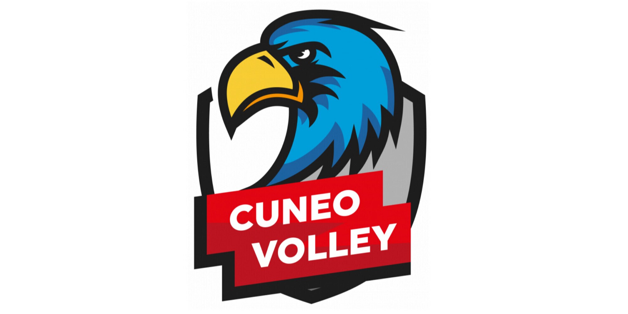 Cuneo Volley - Settore Giovanile: ultime gare del 2022, poi U19 e U17 al Moma Winter Cup