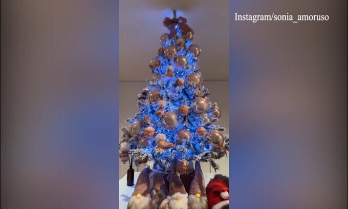 Del Piero, sotto l'albero c'è un ospite a sorpresa