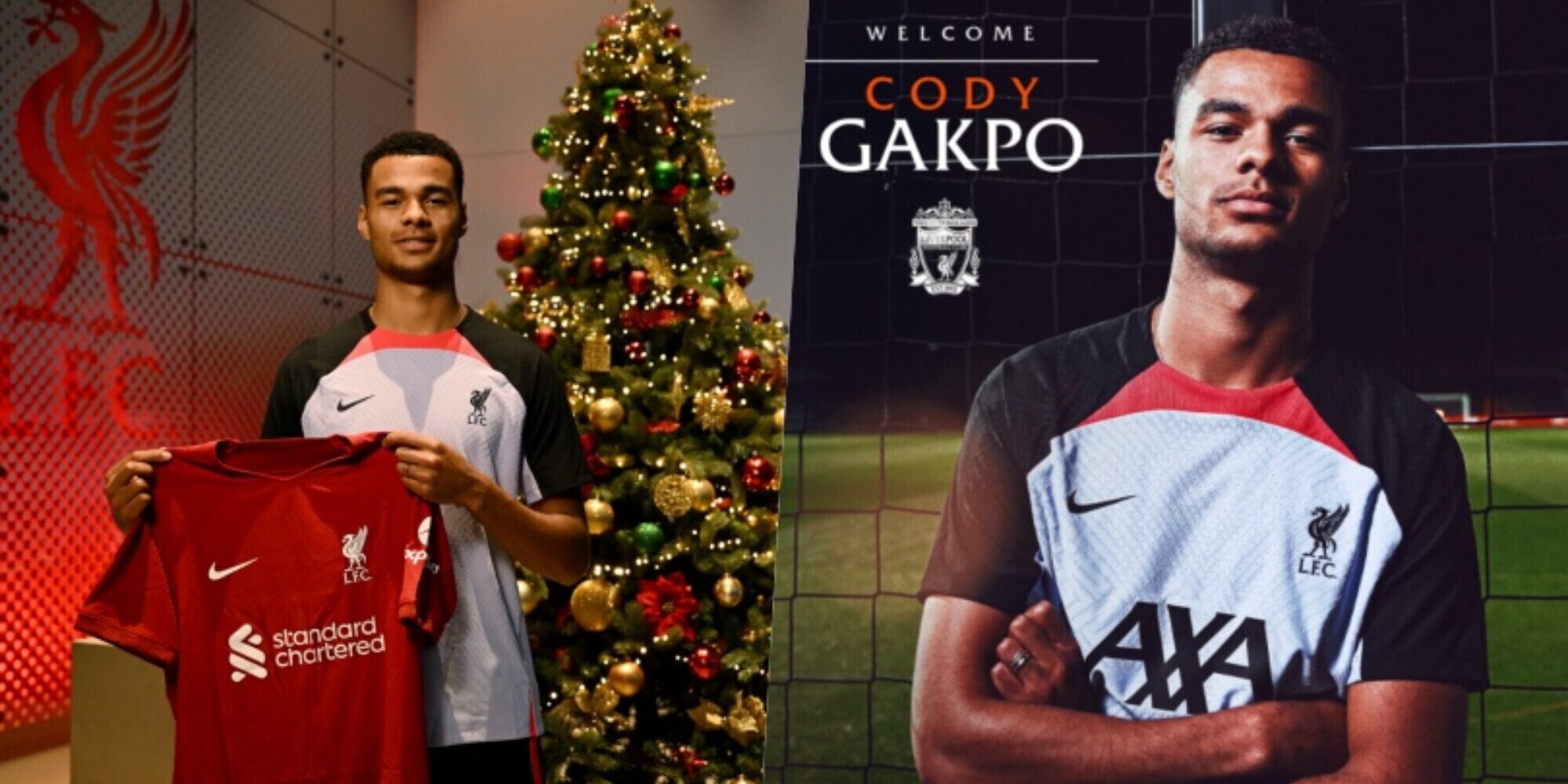 Gakpo è un nuovo giocatore del Liverpool: l'annuncio ufficiale dei Reds