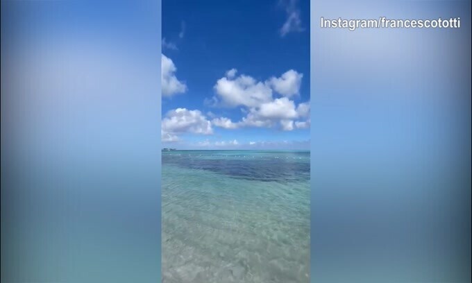 Vacanze alle Bahamas per Totti