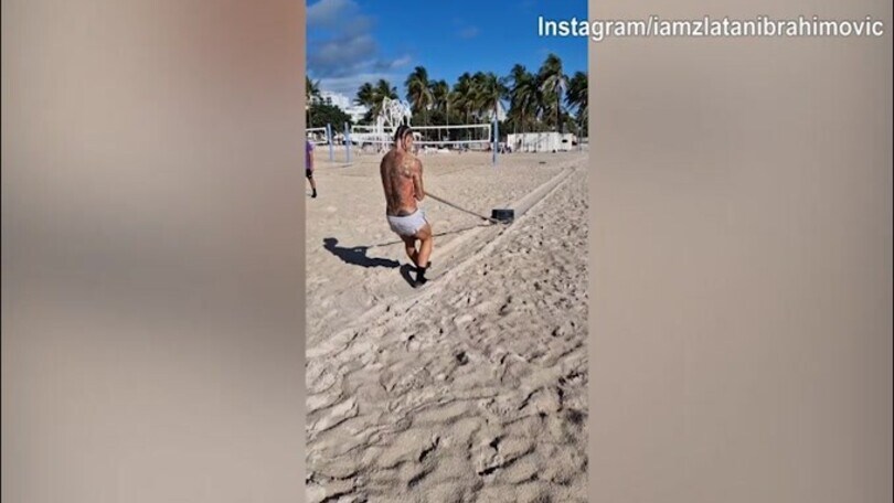 Milan, Ibra non si ferma: lo svedese trascina pesi in spiaggia
