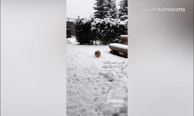 Domenica in mezzo alla neve per Diletta Leotta ed il cane