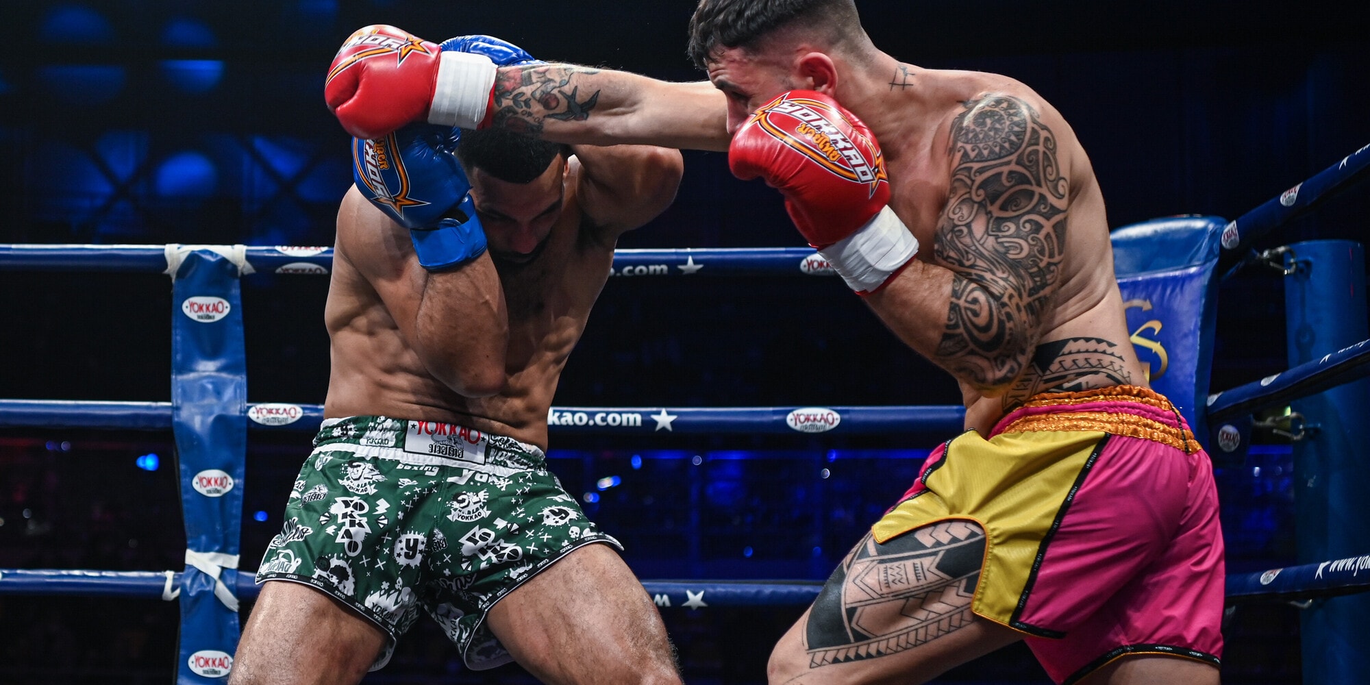 Arti marziali  - I grandi Fighter sul ring di Torino