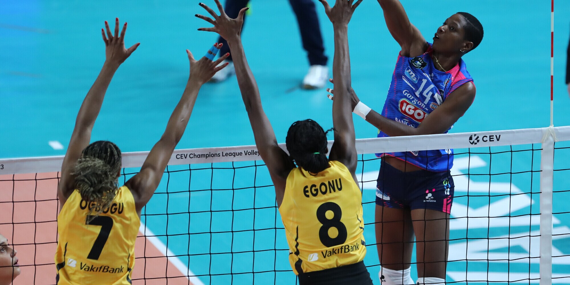 Champions League: Novara c'è ma il Vakifbank non fa sconti