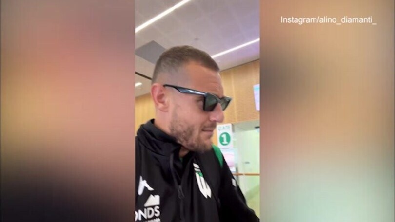 Diamanti e il diavolo della Tasmania: "É questo qui"