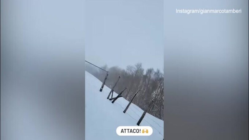 Gimbo non si ferma mai: il video dell'agguato alla moglie sulla neve