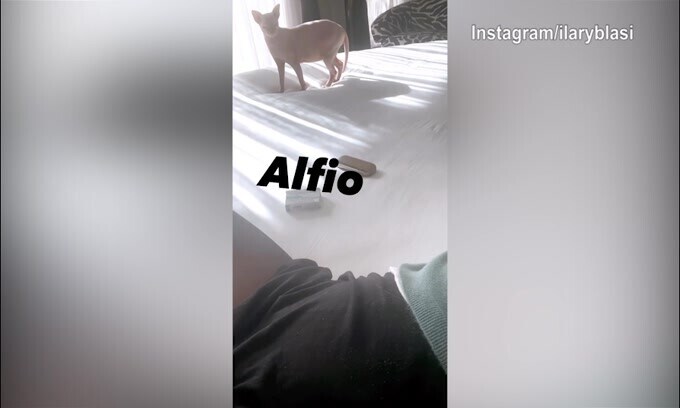 Ilary Blasi, pomeriggio con....Alfio!