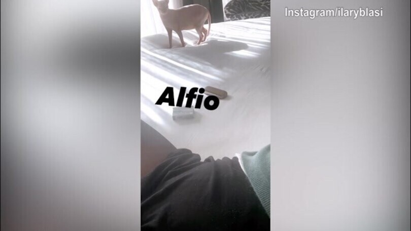 Ilary Blasi, pomeriggio con....Alfio!