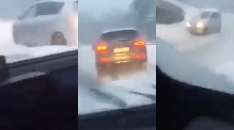 Panda inarrestabile sulla neve: la reazione dell'automobilista è tutta da ridere