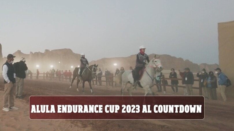 Grande attesa per l'Al-Ula Endurance Cup 2023