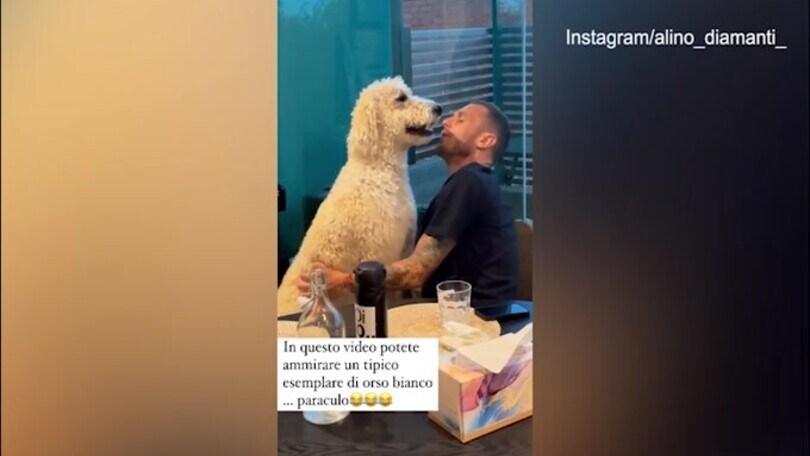 Alino Diamanti coccola il suo "orso bianco"