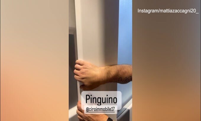 Immobile fa crioterapia, Zaccagni lo prende in giro: "Pinguino"