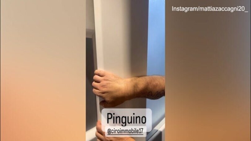 Immobile fa crioterapia, Zaccagni lo prende in giro: "Pinguino"