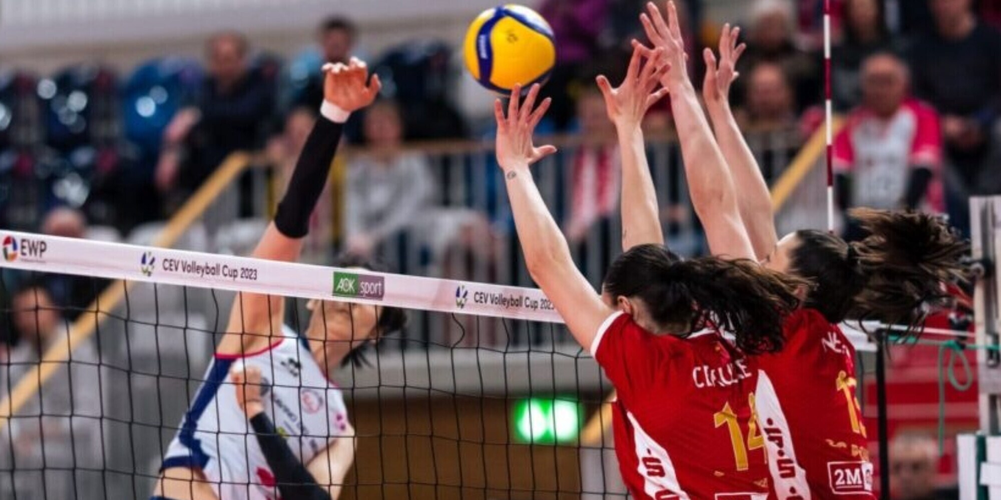 Cev Cup: Scandicci a Palazzo Wanny contro il Potsdam per chiudere i conti