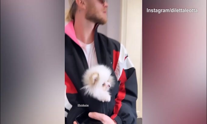 Quadretto in famiglia per Diletta: Karius con...il cane di lei