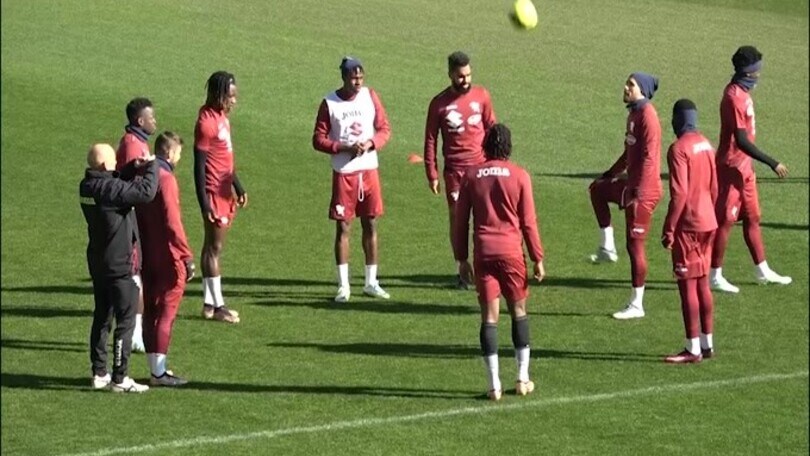 Toro, super Singo convocato dagli Elefanti