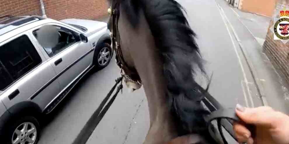 Usa il cellulare alla guida e viene  rincorso da Polizia a cavallo