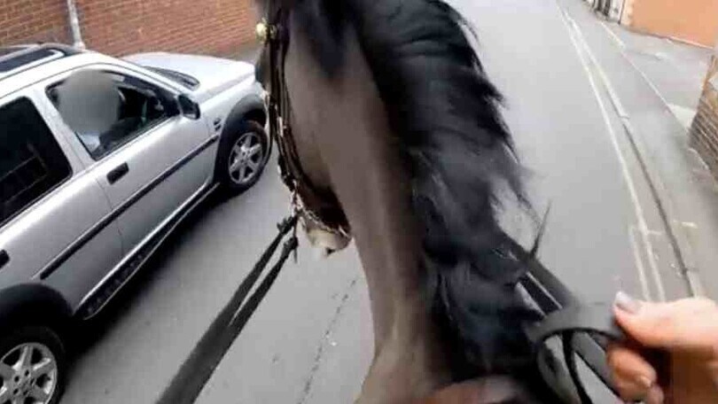 Usa il cellulare alla guida e viene  rincorso da Polizia a cavallo