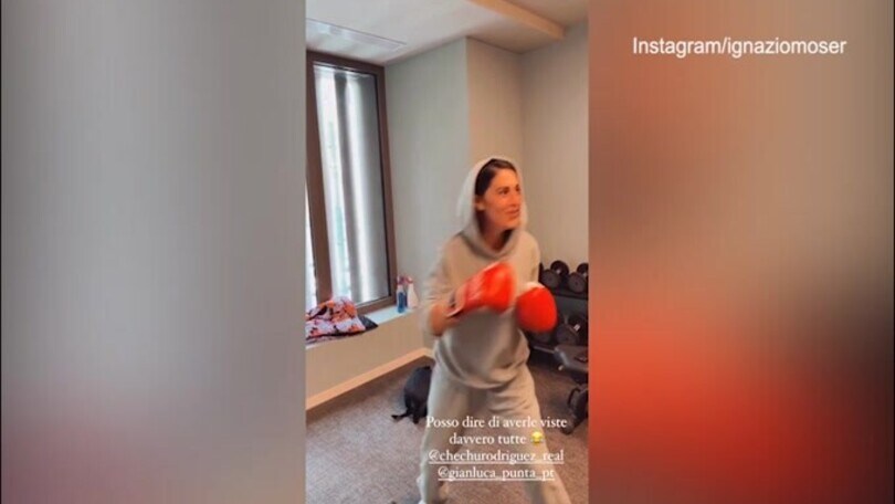 Cecilia Rodriguez indossa i guantoni, i cagnolini non ci stanno: il video social