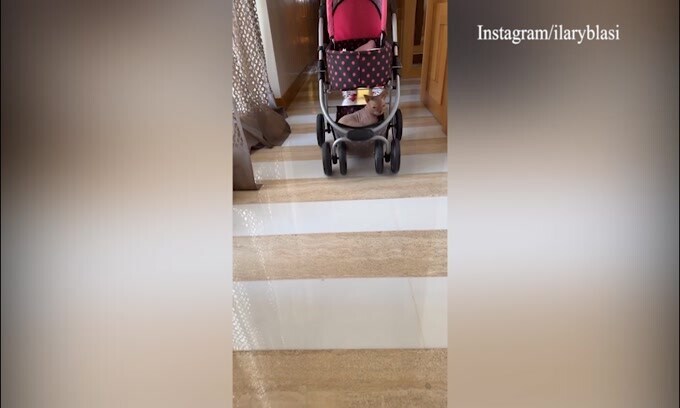 Casa Ilary, un passeggino per il gatto