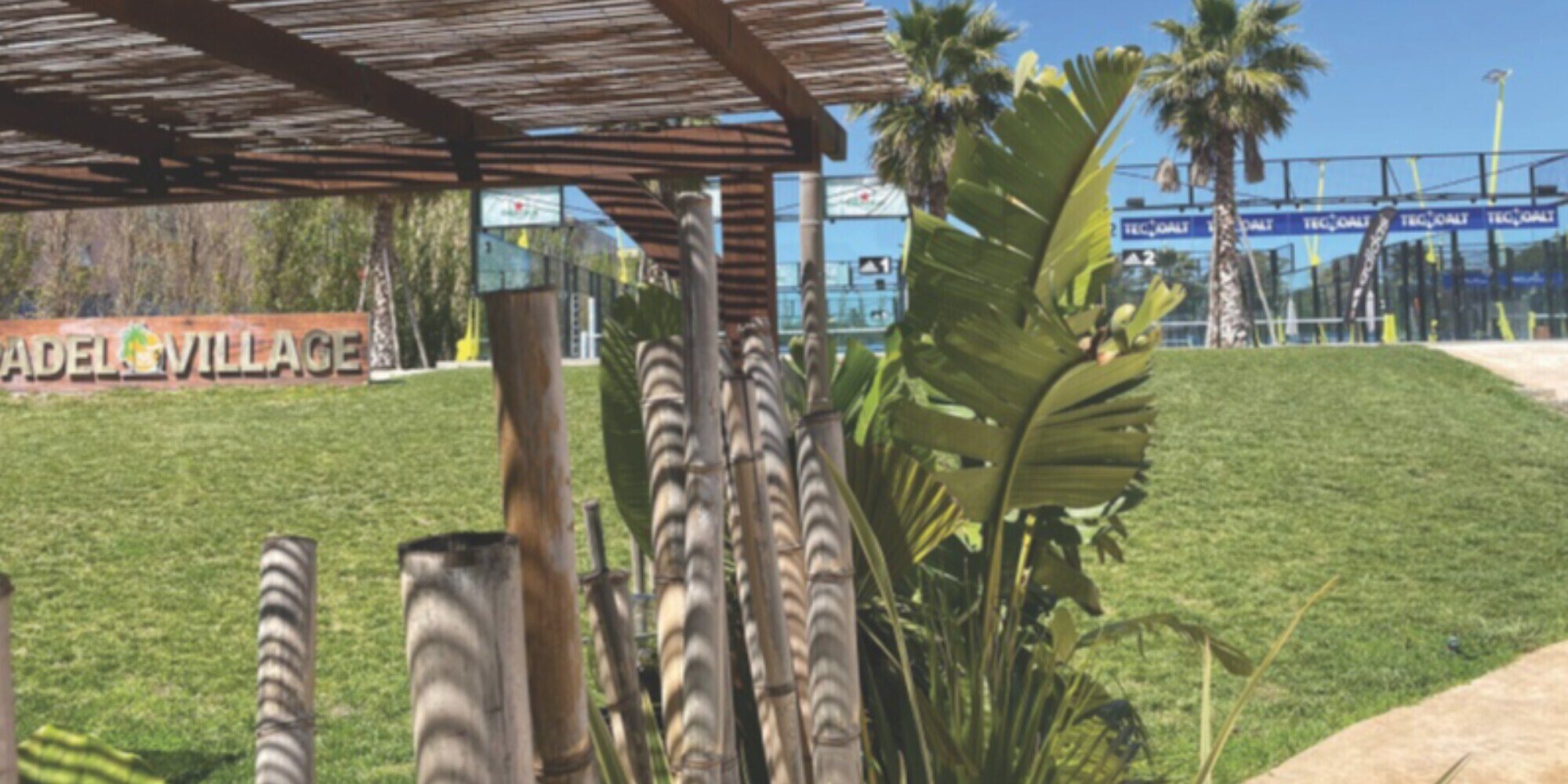 Padel, il circolo di Civitavecchia tra palme e ombrelloni