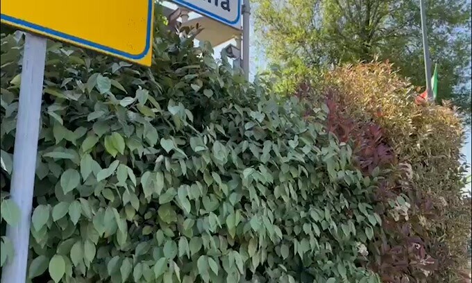 Napoli, lo scudetto si avvicina: le immagini da Udine