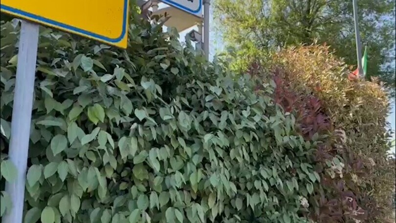 Napoli, lo scudetto si avvicina: le immagini da Udine