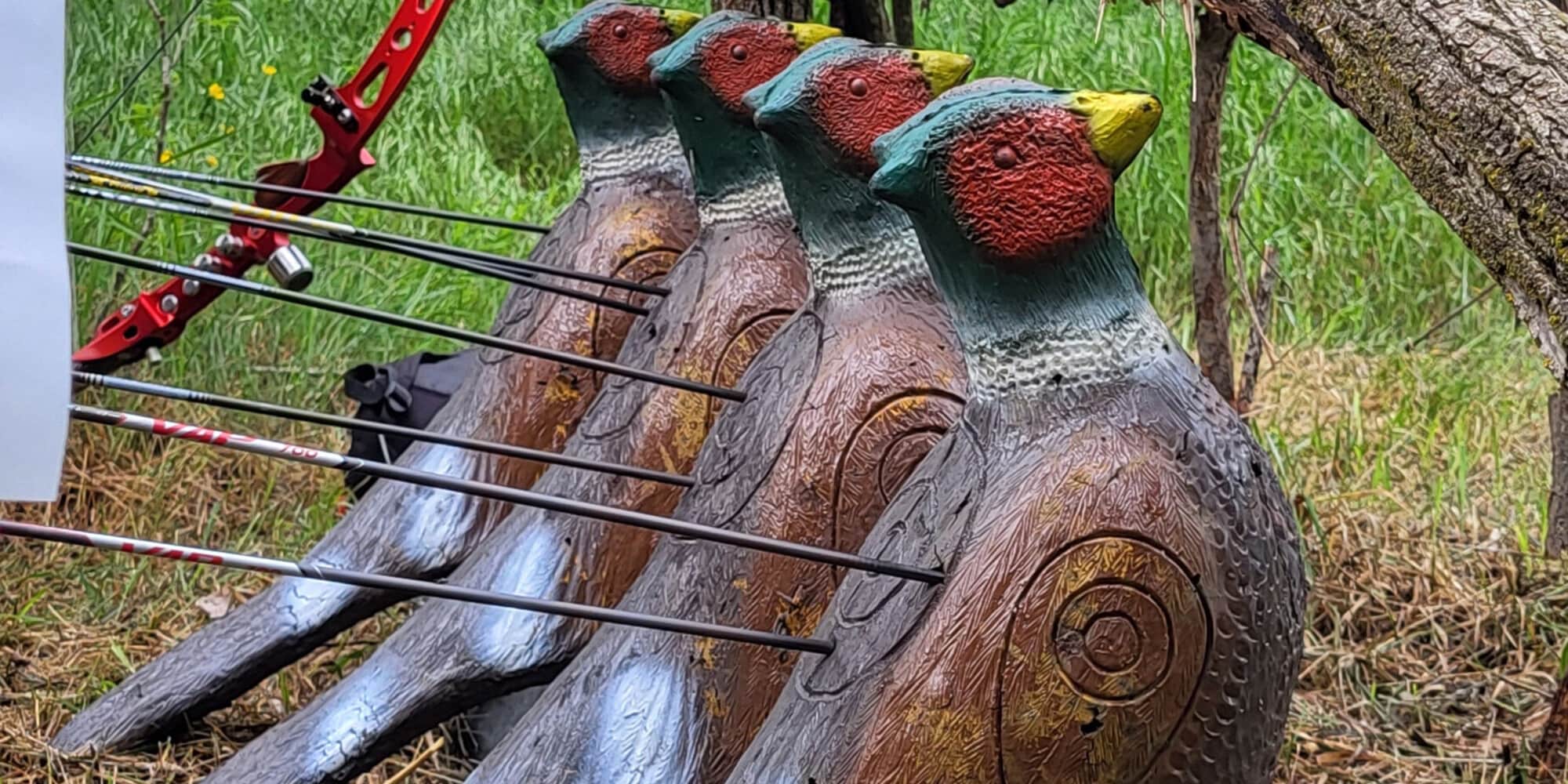 Fitarco - Campionato Regionale 3D